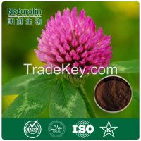 Red Clover Extract