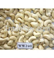 Viet Nam Cashew Nuts ww240