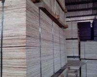 plywood: good quality