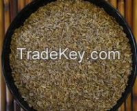 Dill Seeds