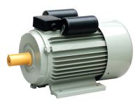 Electric / Induction Motors 