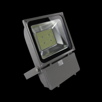 100W Floodlight