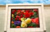 Outdoor LED Display
