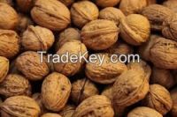 Walnuts | Peanuts | Cashew Nuts | Almond Nuts | Pistachios