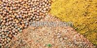 Animal Feed Yellow Corn Wheat Mixed Peas Soybean and soybean meal  DDGS