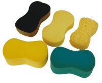 sponge scouring pad