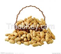 Peanut in shell/Peanut kernel in shell