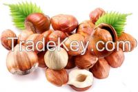 100% natural hazelnut/ hazelnut kernel for sale