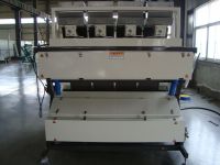 wheat kernel color sorter and malting barley color separator