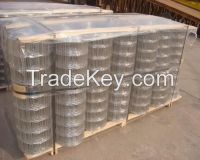 Stainless steel welded wire mesh