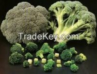 Fresh Brocolli