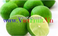 Seedless lime