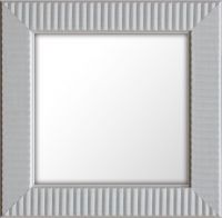 Plastic Mirror Frames