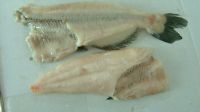 Frozen Fish Fillets