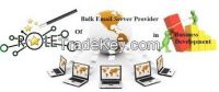 Bulk Mail Server
