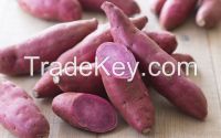 Purple Yam
