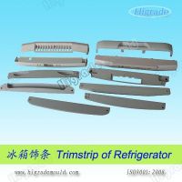 Trimstrip of Refrigerator