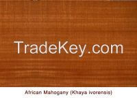 Mahogany
