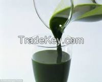 chlorophyll paste