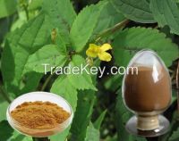 High quality organic silicon, beta sitosterol of  Nettle extract 