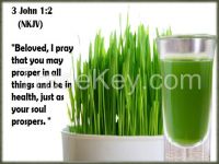 100% Pure Organic Barley Grass Concentration