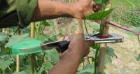 Tying Tapetool