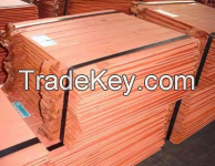 Copper Cathodes