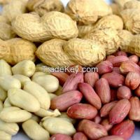 Raw Peanut / Kernels