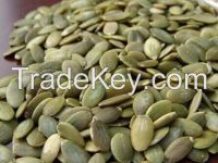 High Quality Shine Skin Pumpkin Seeds