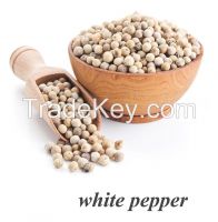 vietnamese pepper