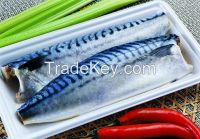 FACIFIC MACKEREL FILLETS