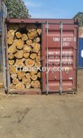 Teak Wood