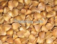 https://cn.tradekey.com/product_view/Buck-Wheat-Groats-Bulgar-Wheat-Oats-7271701.html