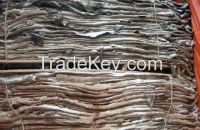 Wet salted cow skin, cow heads and animal skins, wet blue cow hides