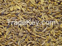 Cumin
