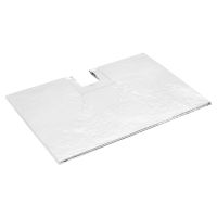 Vacuum Insulated Panels (vip) For Vaccines Cooler Boxes