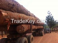 Okume Okoume round logs