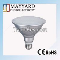 LED Par38 Light  From China