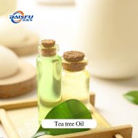 Tea Tree Oil  Melaleuca Alternifolia Herbal Aroma Oil for Fragrance Cosmetic From China