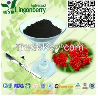 Elderberry Extract