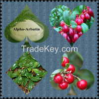 Lingonberry Extract,organic acids, vitamin C, provitamin A, B