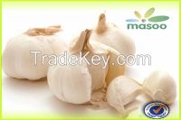 https://cn.tradekey.com/product_view/Cheap-High-Quality-Fresh-Garlic-From-Shandong-china-wholesale--7288902.html