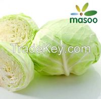 Cheap High Quality Fresh Cabbage from Hebei (China) (Wholesale)