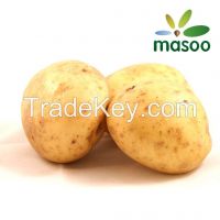 Cheap High Quality Fresh Potato from Shandong (China) (Wholesale)