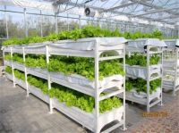 Hot Galvanized greenhouse multi span greenhouse hydroponic system From China