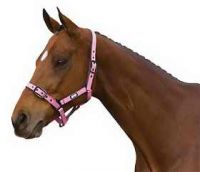 Horse Halter