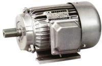 Y Series Three-Phase Asynchronous Motor