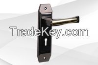 Door Handles BN-704