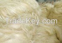 Natural Sisal Fibre