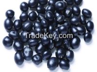 2014 new crop big black bean / black soya bean
